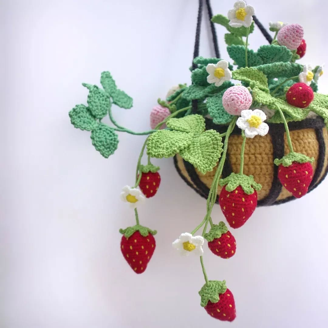 Strawberries in vibrant macrame hangers