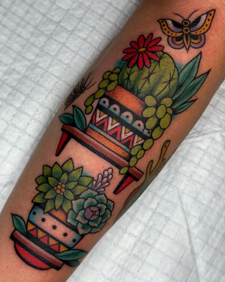 variety of succulents on shelf