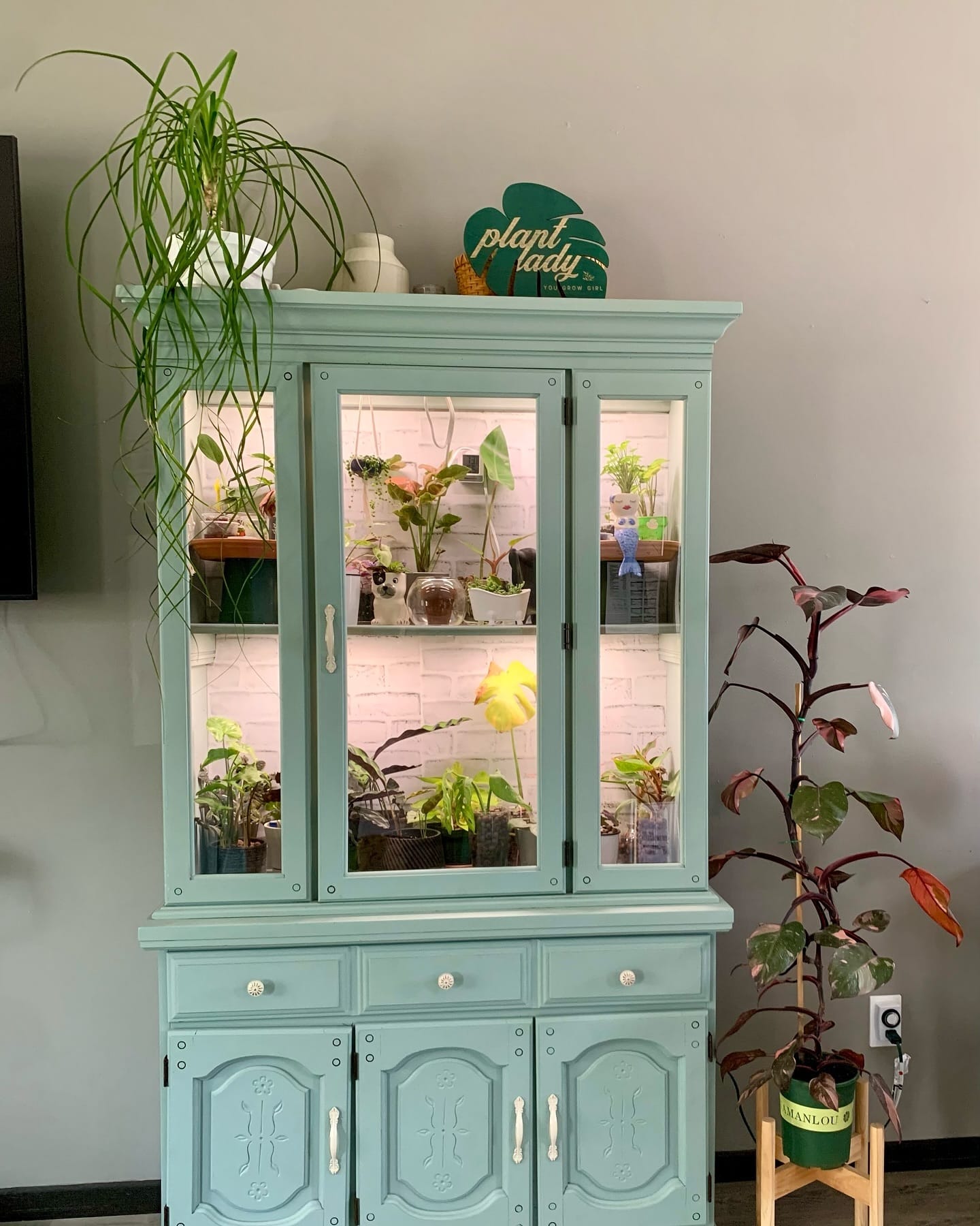 minimalist white hutch with succulents