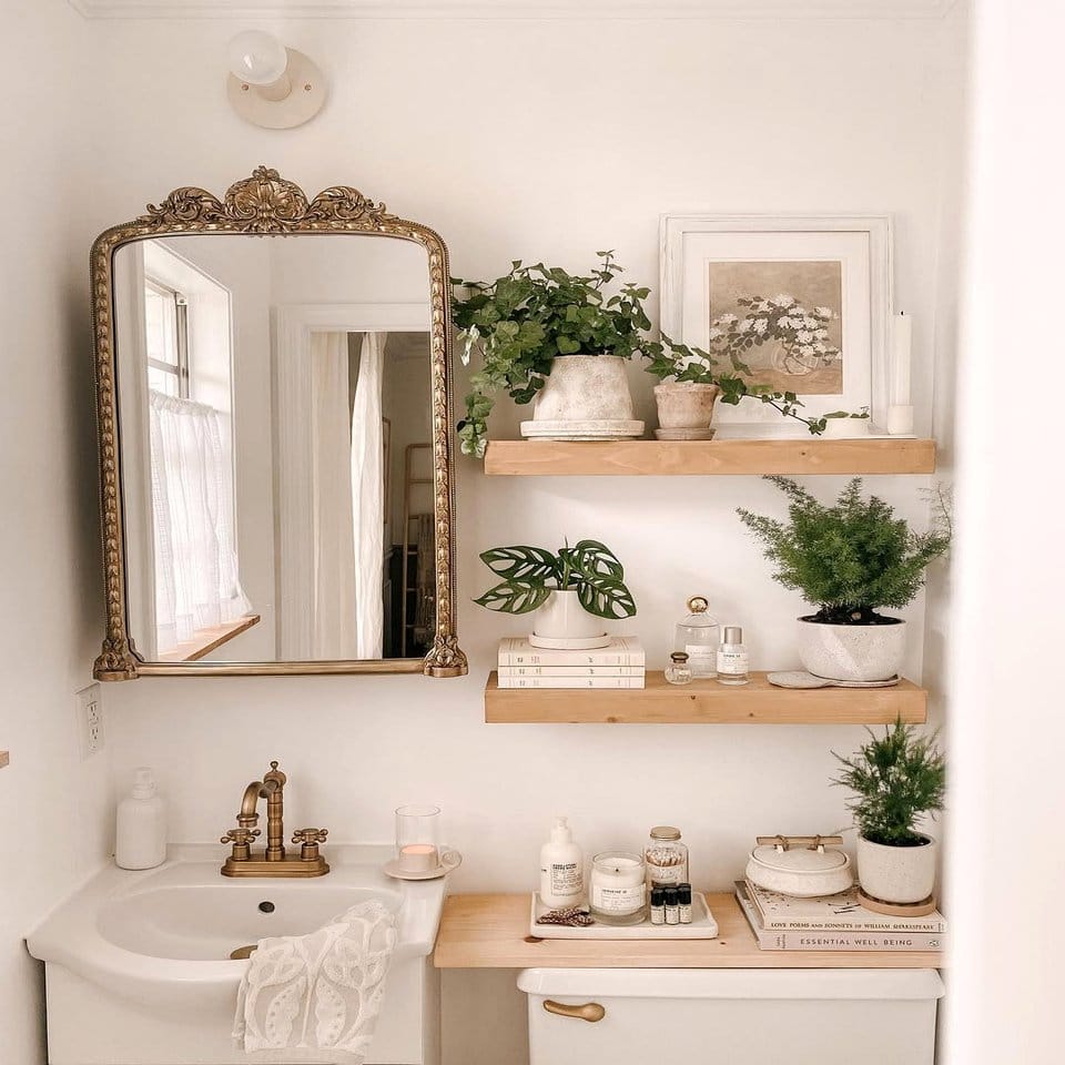 Bathroom shelf with small potted plants