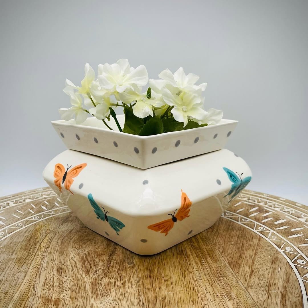 Colorful african violet in ceramic pot