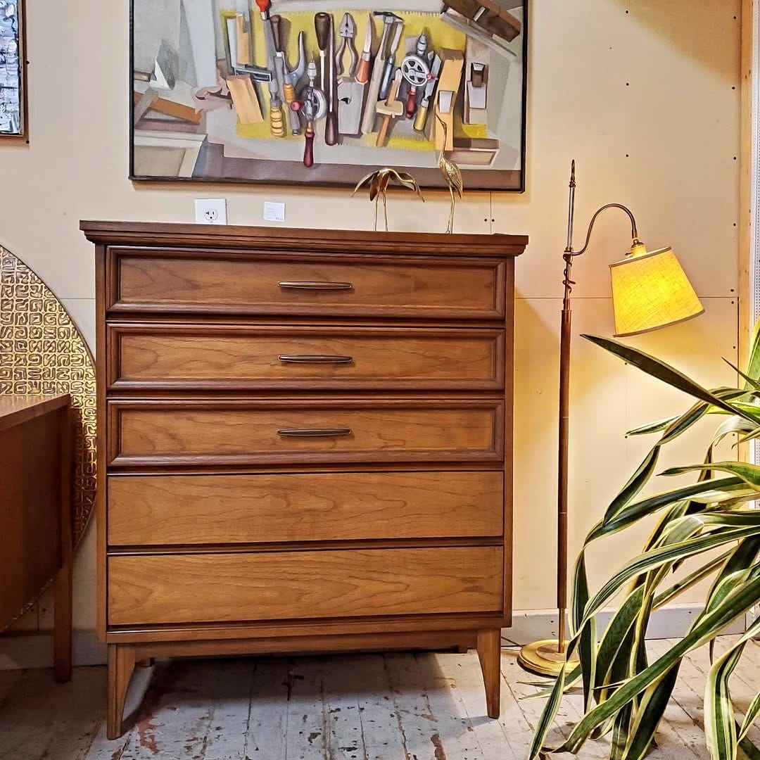 upcycled bookshelf with eclectic plant collection
