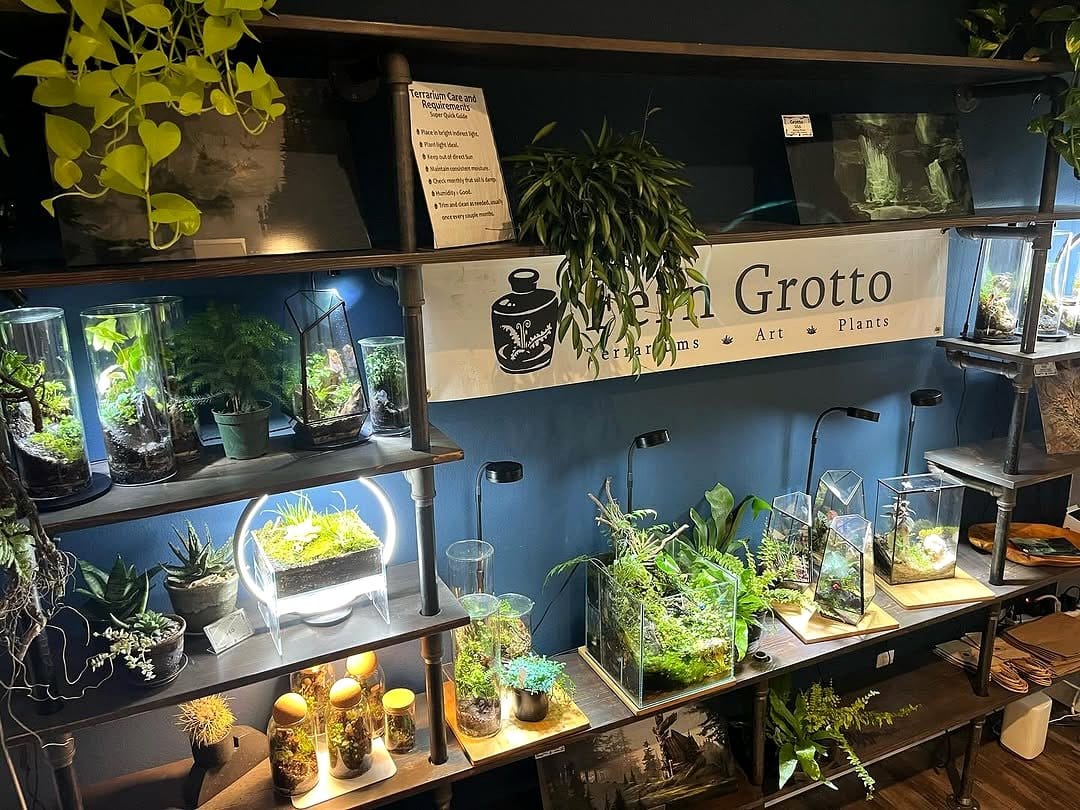 shelf displaying multiple terrariums