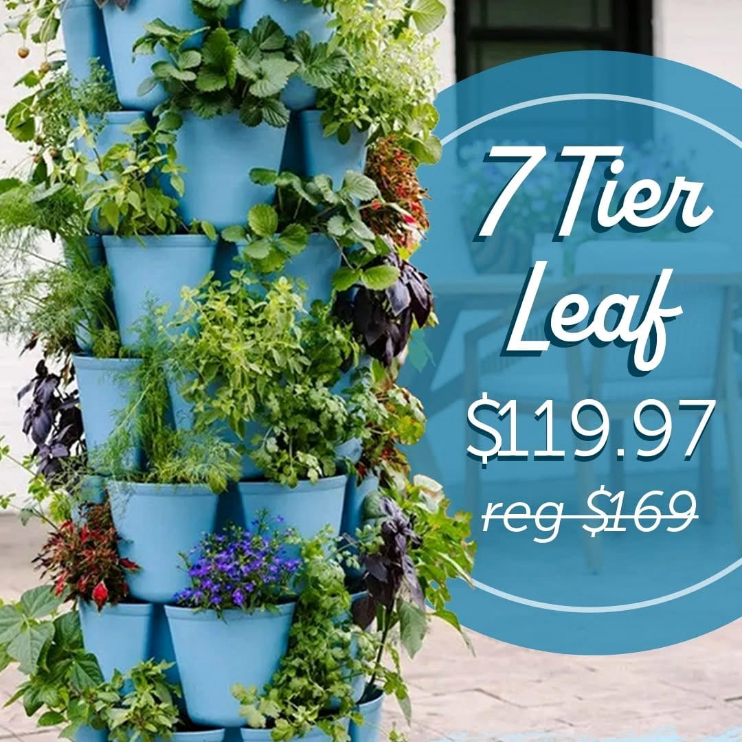 vertical garden with colorful pots