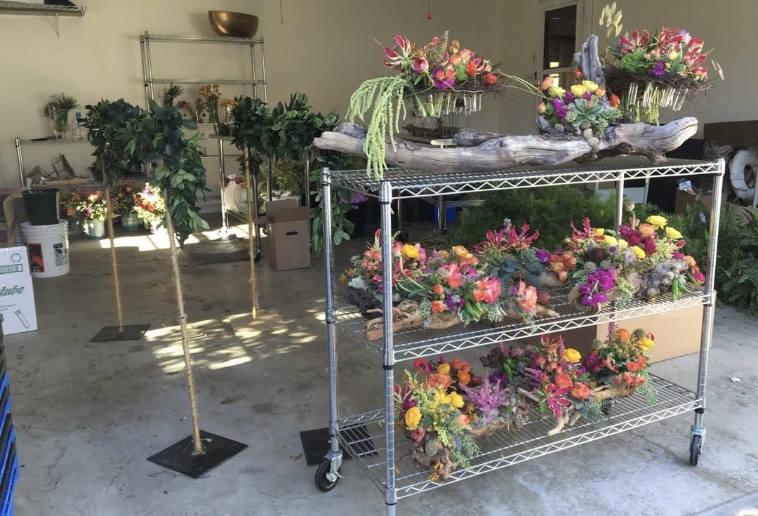 Unique air plants on driftwood