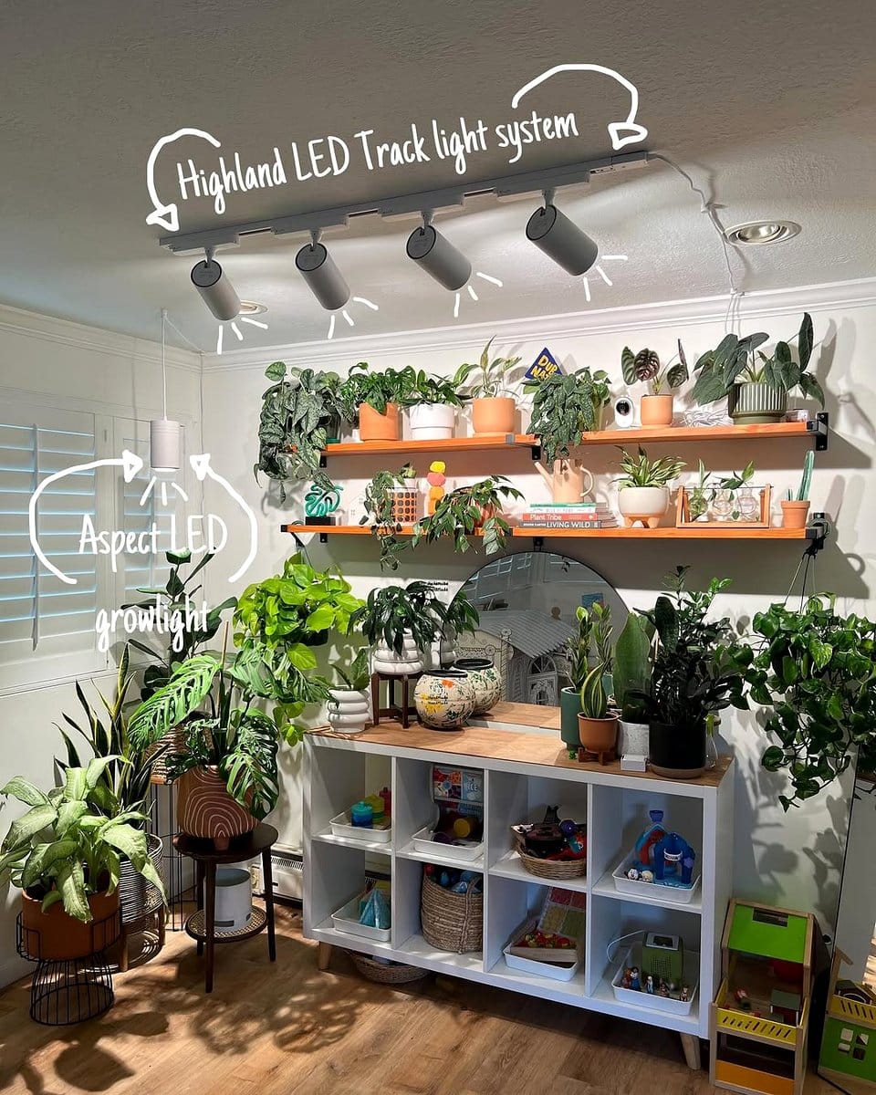 clamp light attached to plant shelf