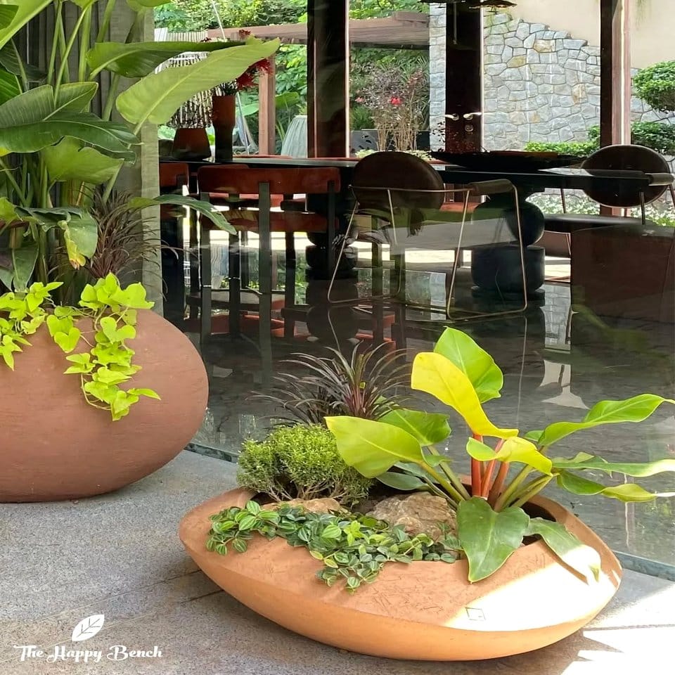 Simple wooden bench with symmetrical plant arrangement