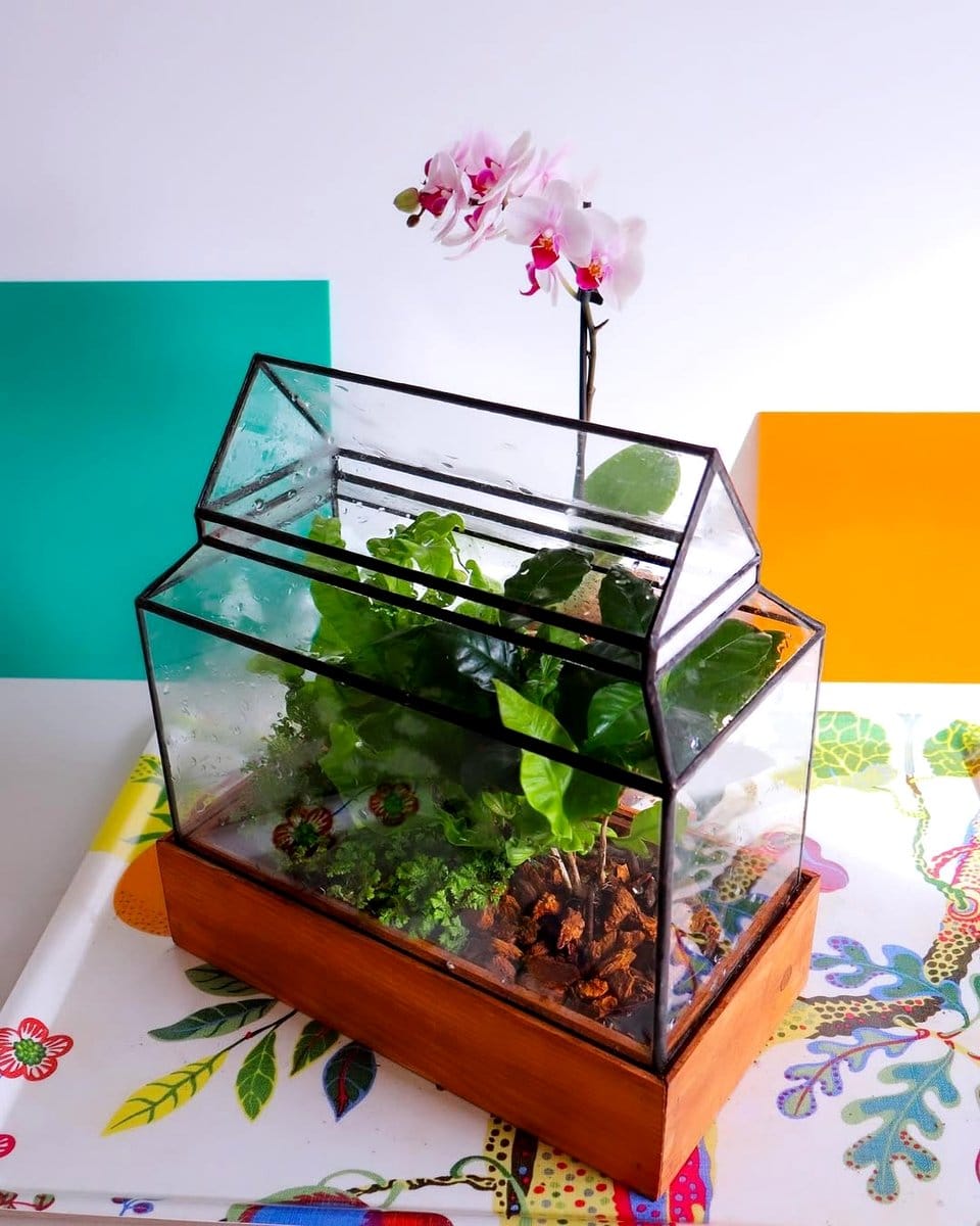 classic glass terrarium with ferns
