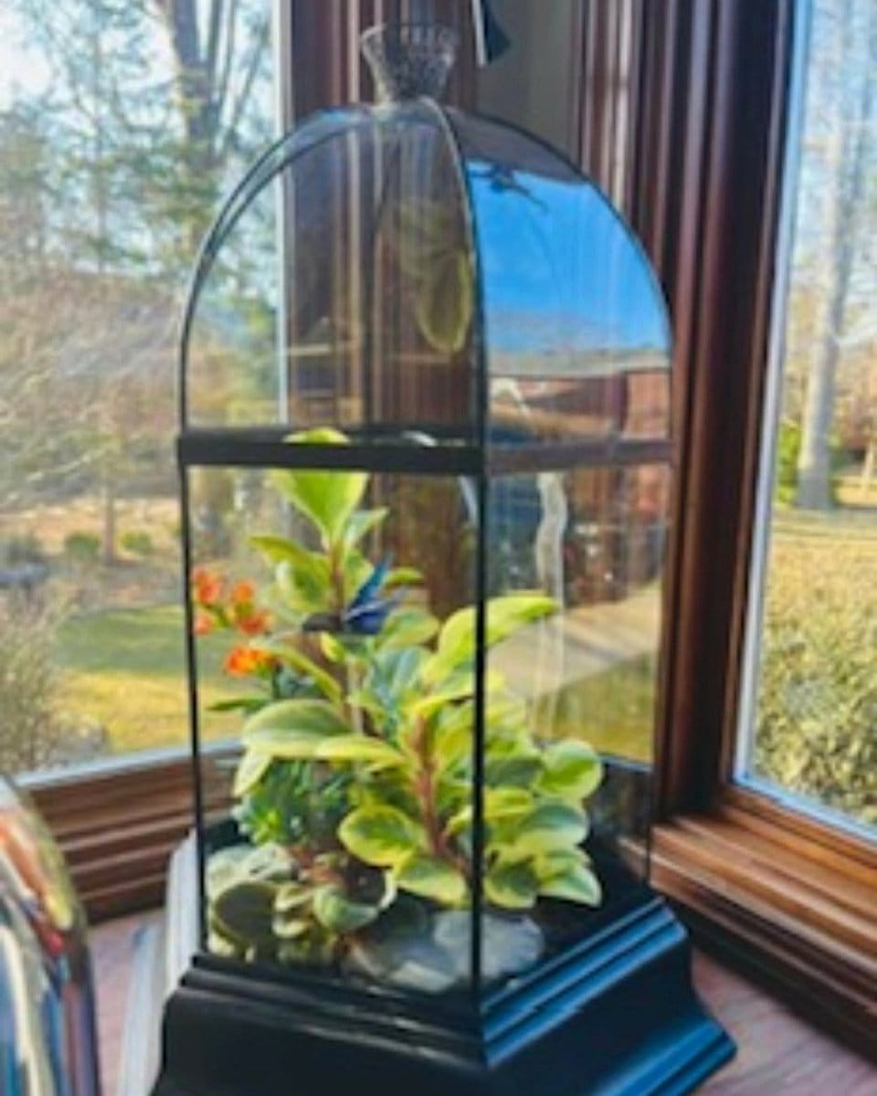 freestanding tower with leafy plants