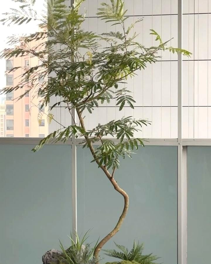 stacked planter boxes with greenery