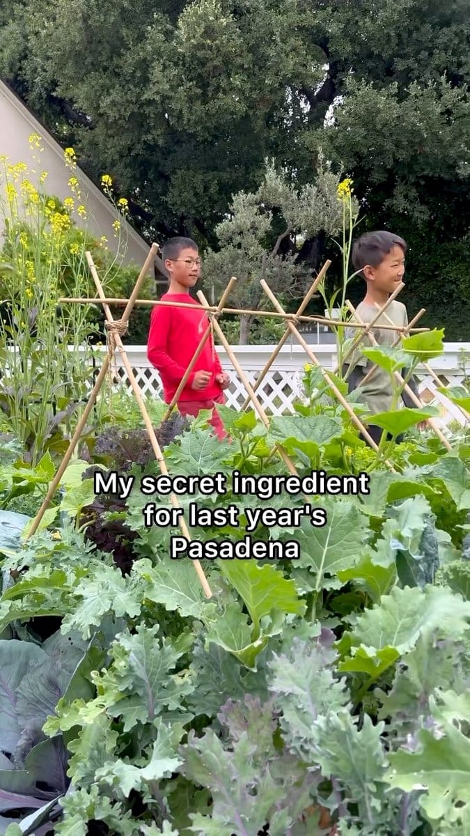 gardener amending soil with compost