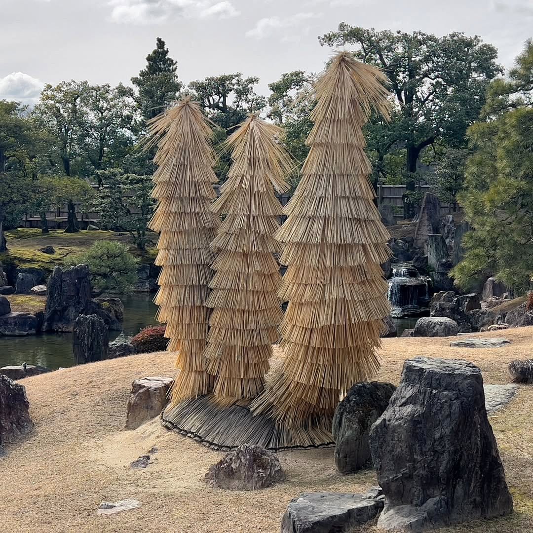 gardener covering plants with straw