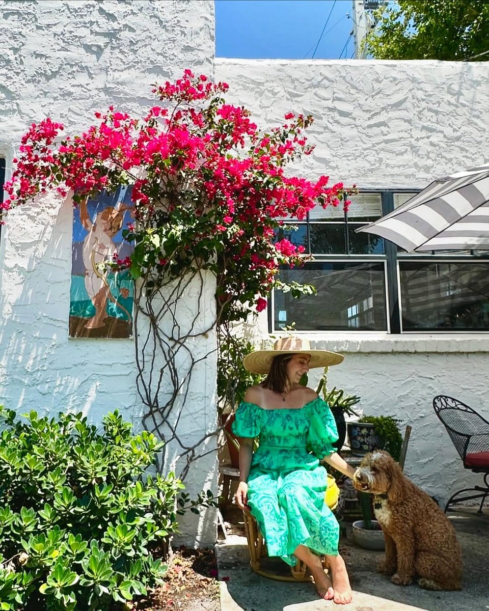 climbing bougainvillea on trellis