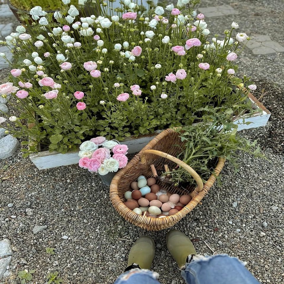 Balanced pallet garden with herbs and flowers