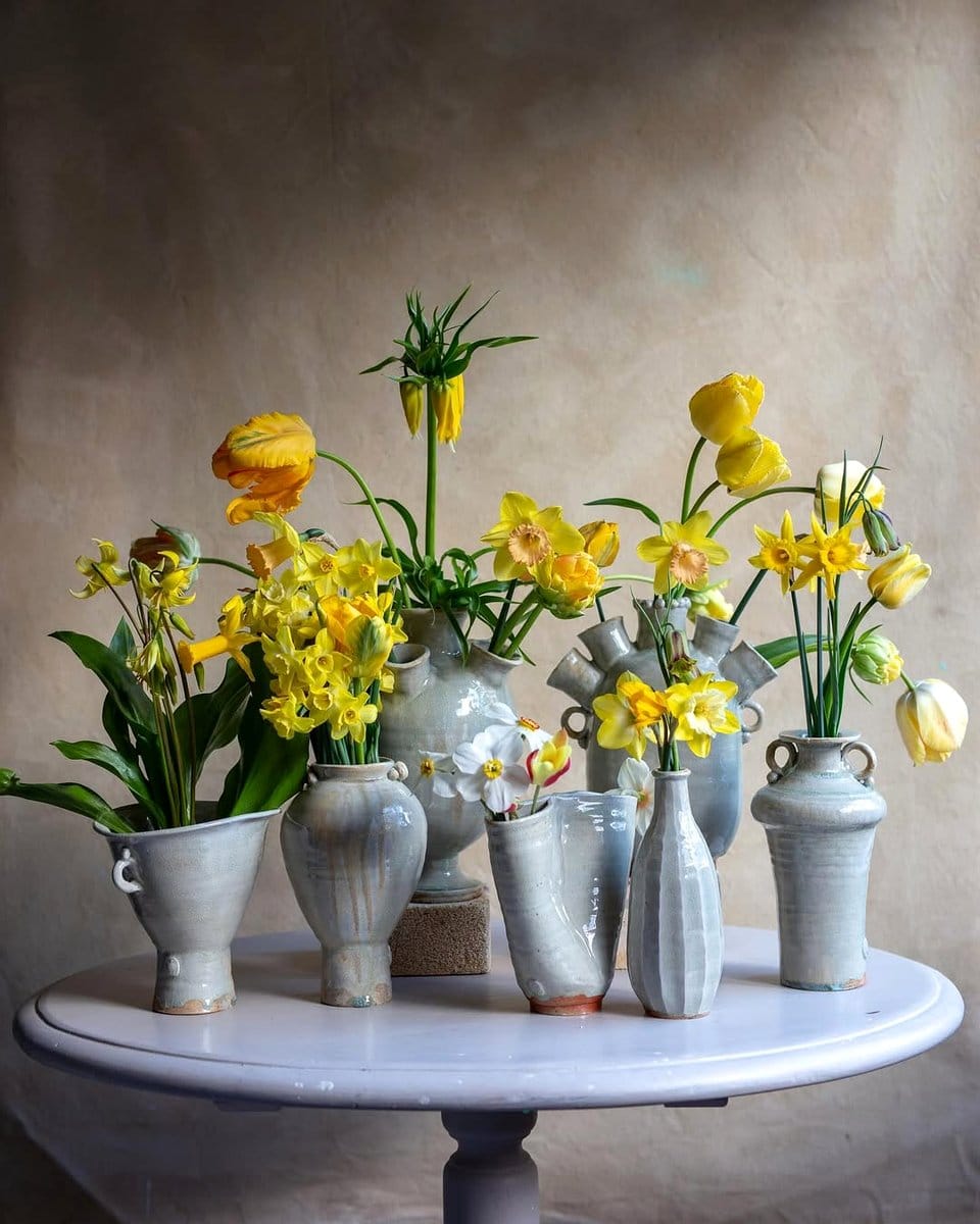 yellow daffodils in vase