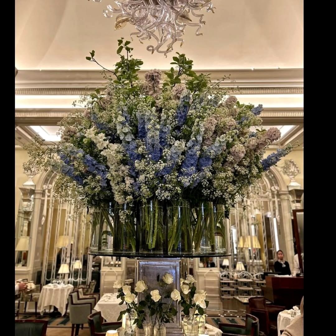 orchid plant chandelier in foyer