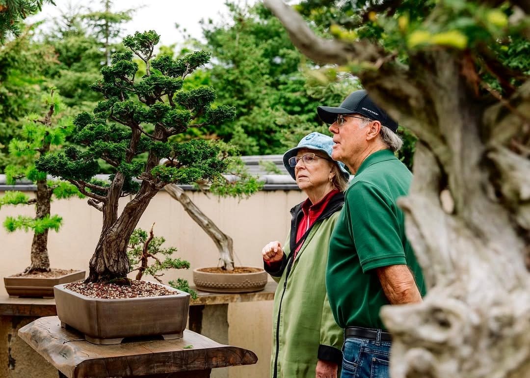 zen garden trunk display