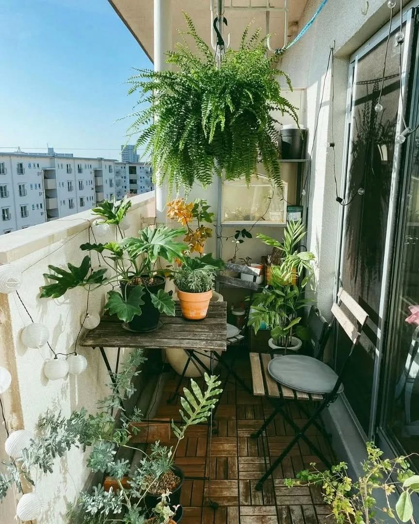 Balcony with assorted potted plants