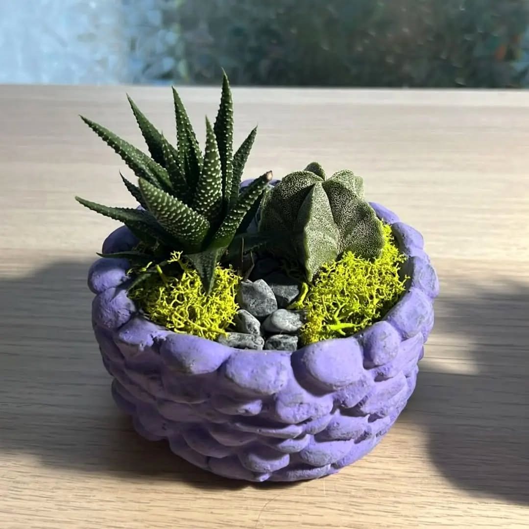 geometric planters with succulents