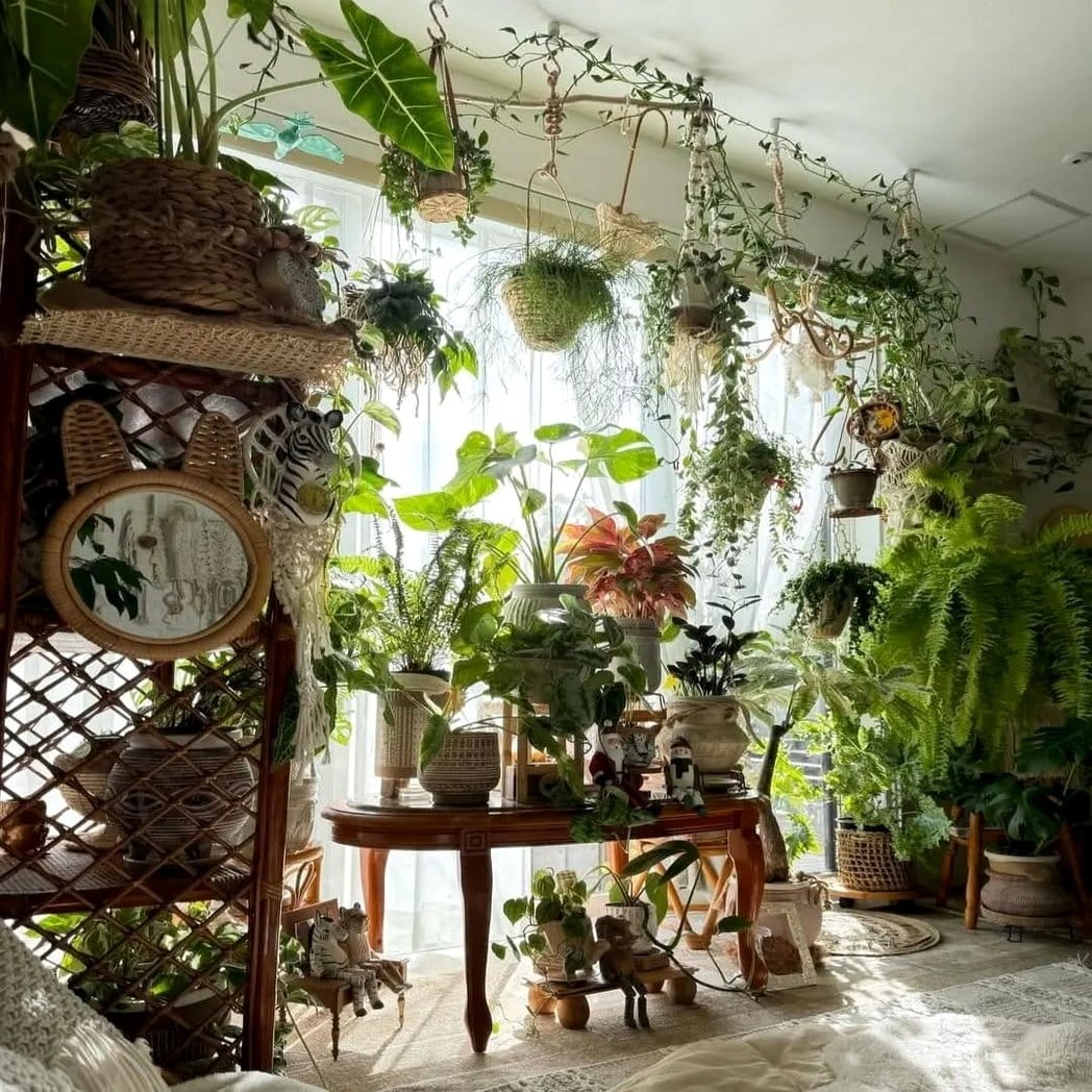 String lights intertwined with indoor plants