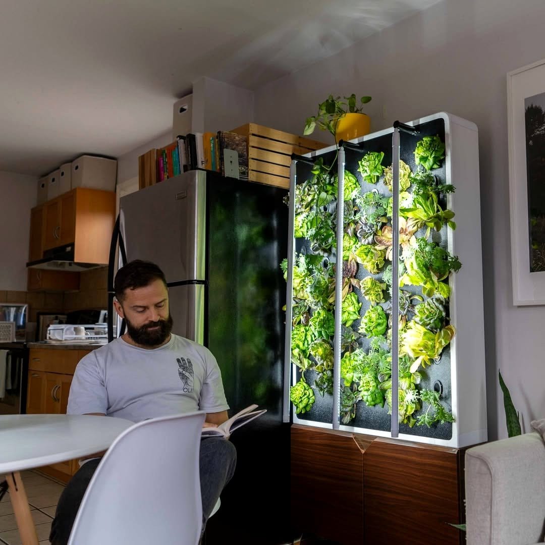 vertical hydroponic system on wall