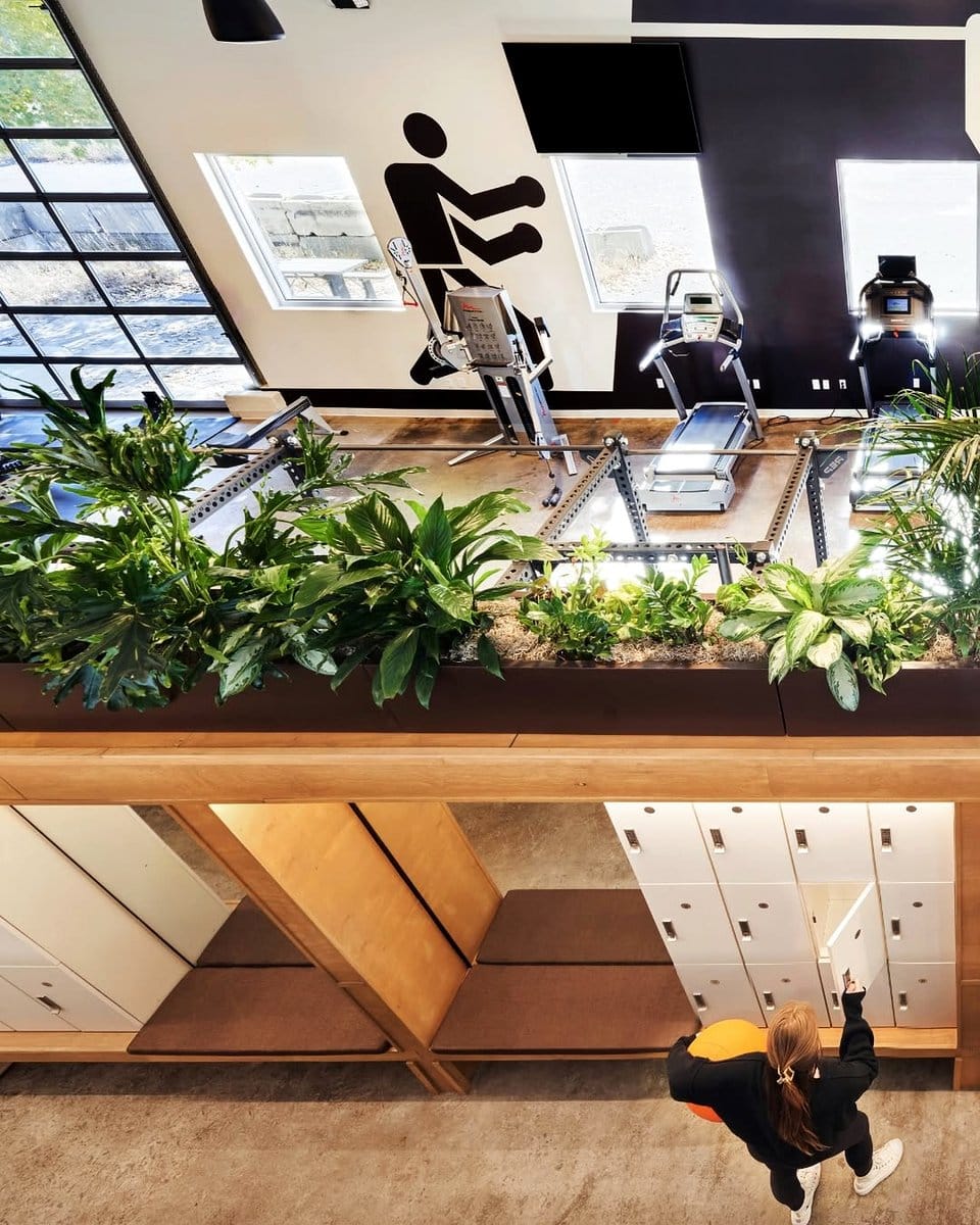 home gym with energizing plant shadows