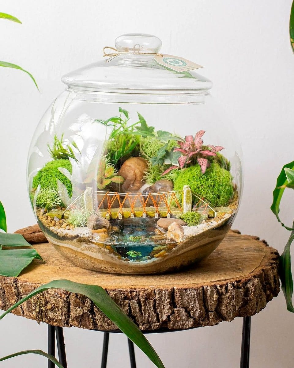 terrarium with tiny waterfall