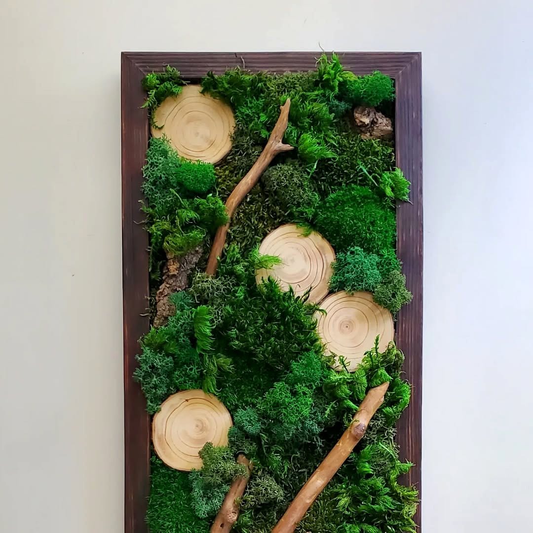 moss wall with wood frame