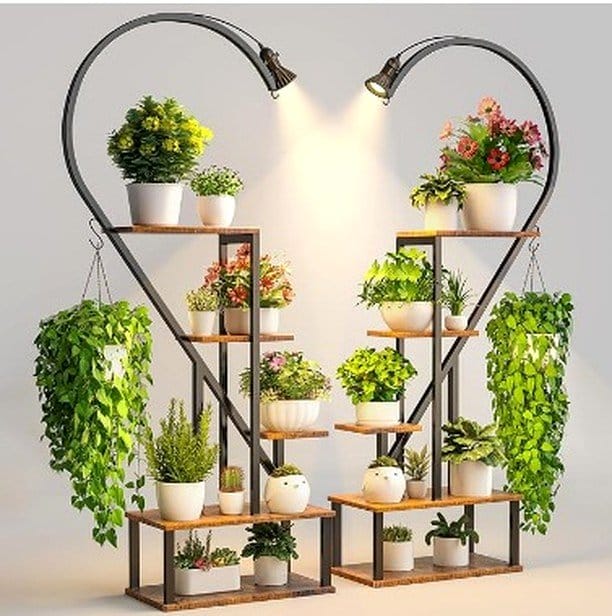 decorative shelf with plants
