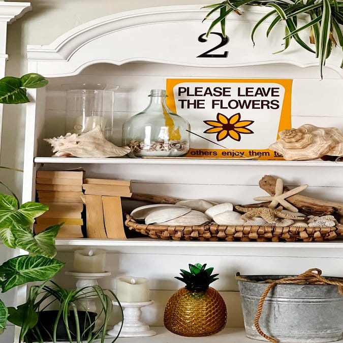 Rattan shelf with seashells and nautical decor