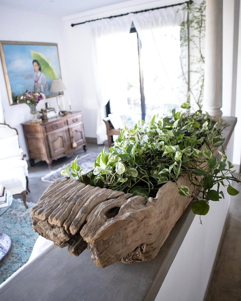 rustic wooden drawer with succulents