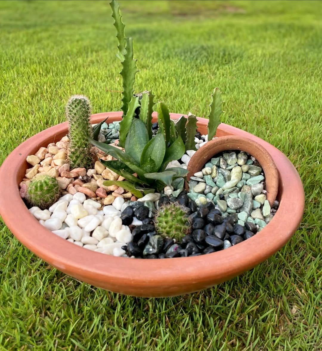 zen garden with stones and succulents