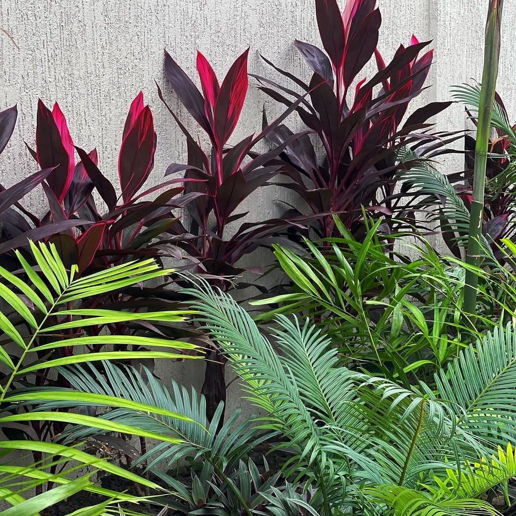 Vertical garden filled with tropical plants