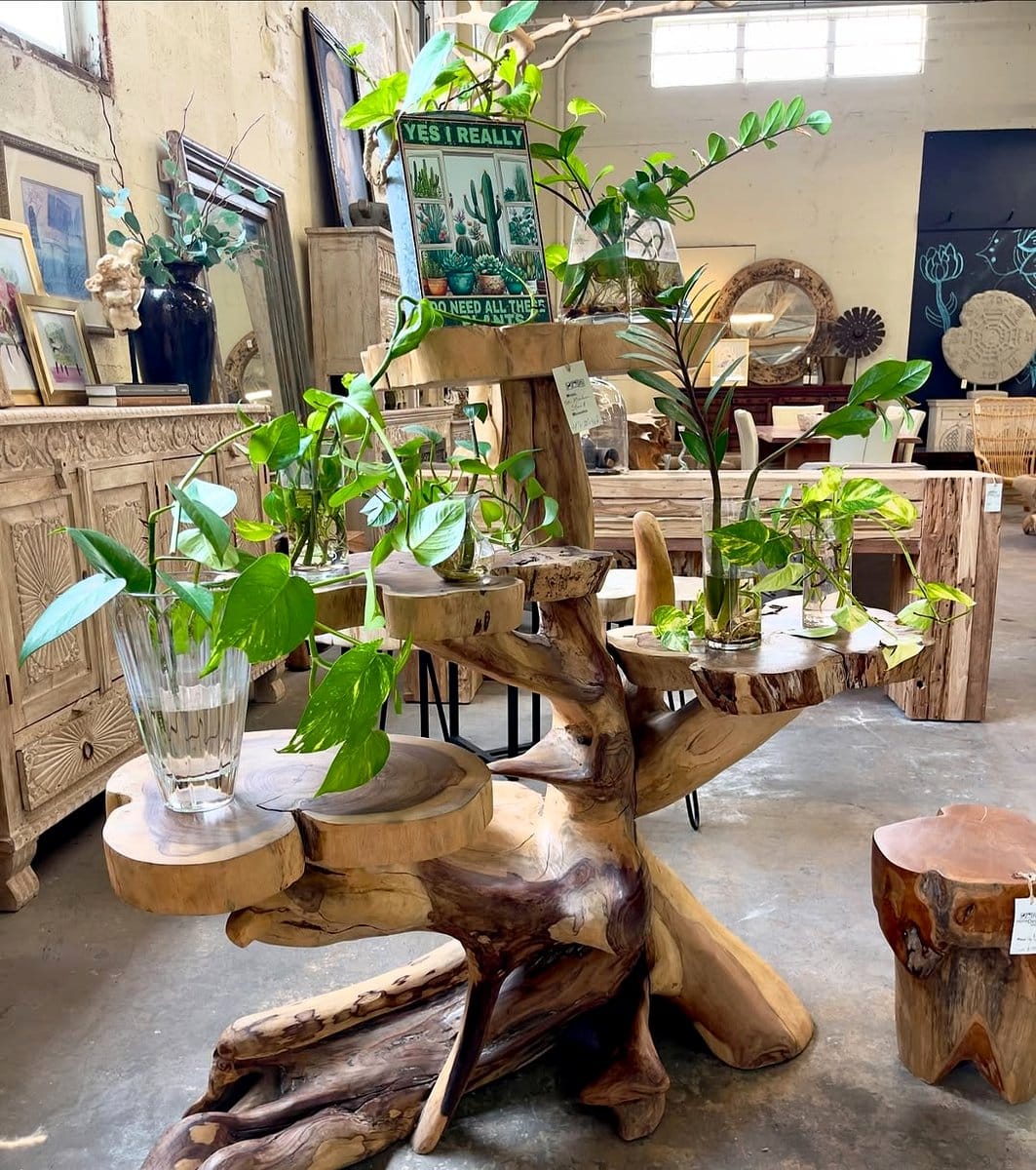 rustic wood log plant display