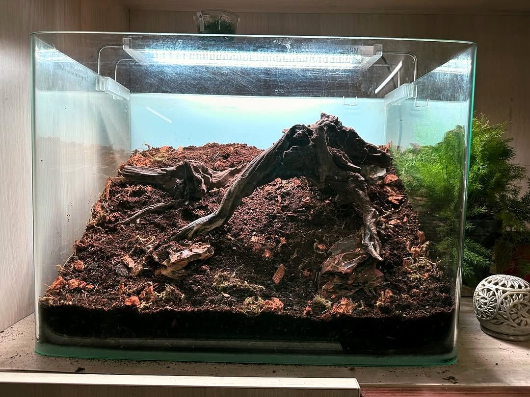 soil and sand layered in jar