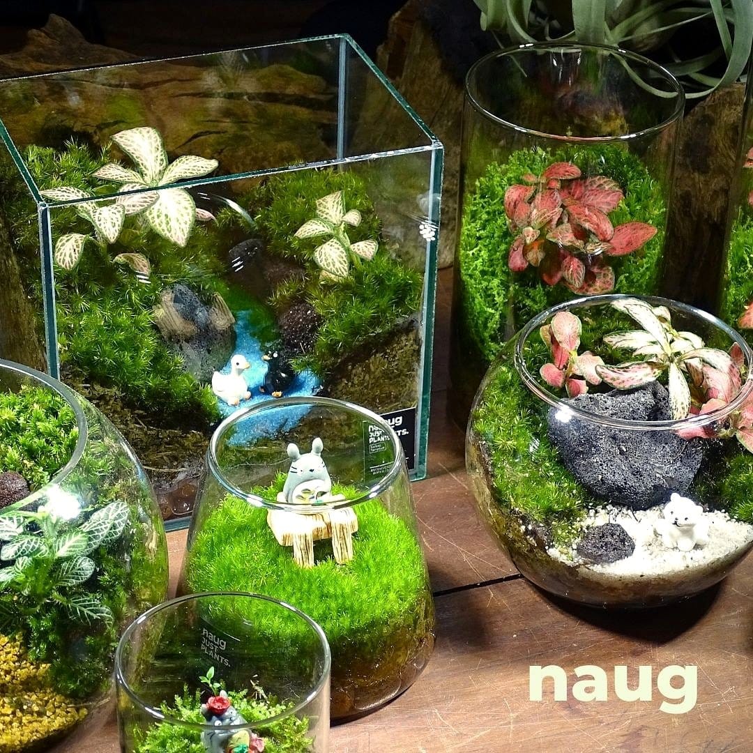 Neutral toned glass terrarium with moss