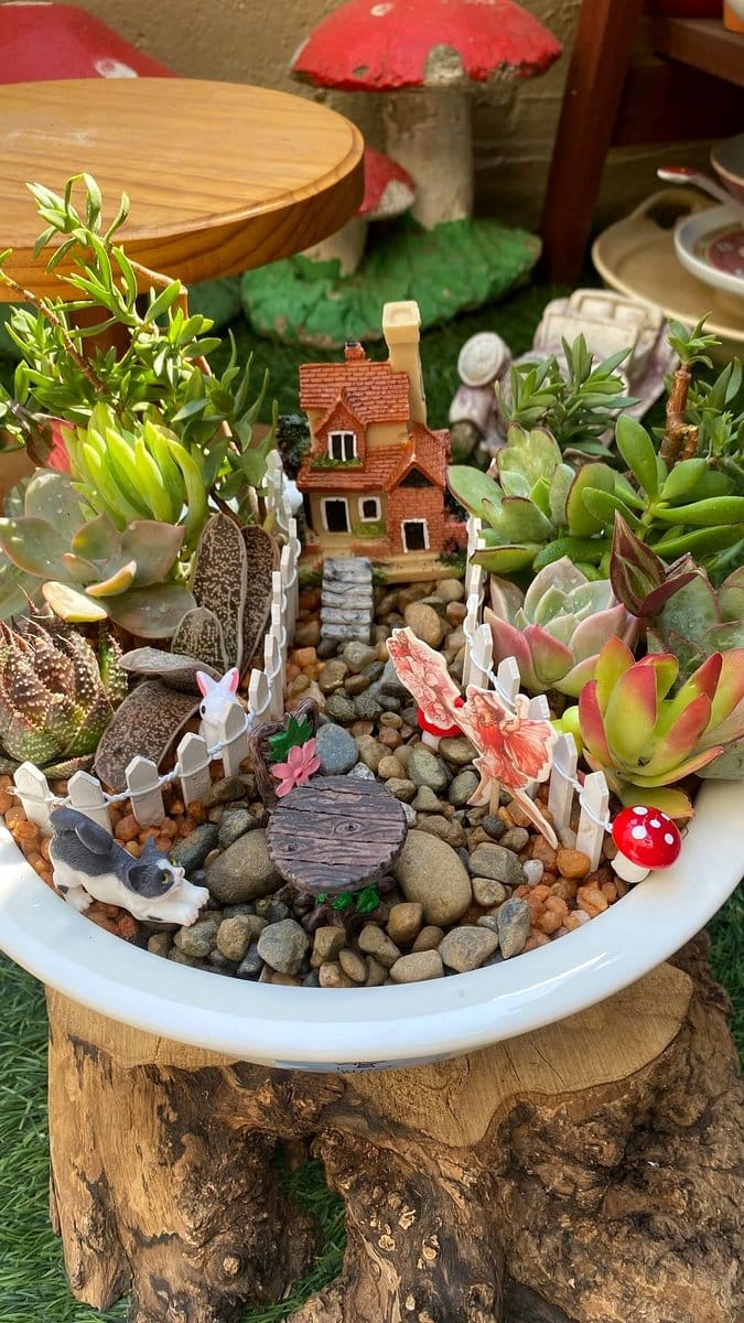 fairy garden with miniature succulents
