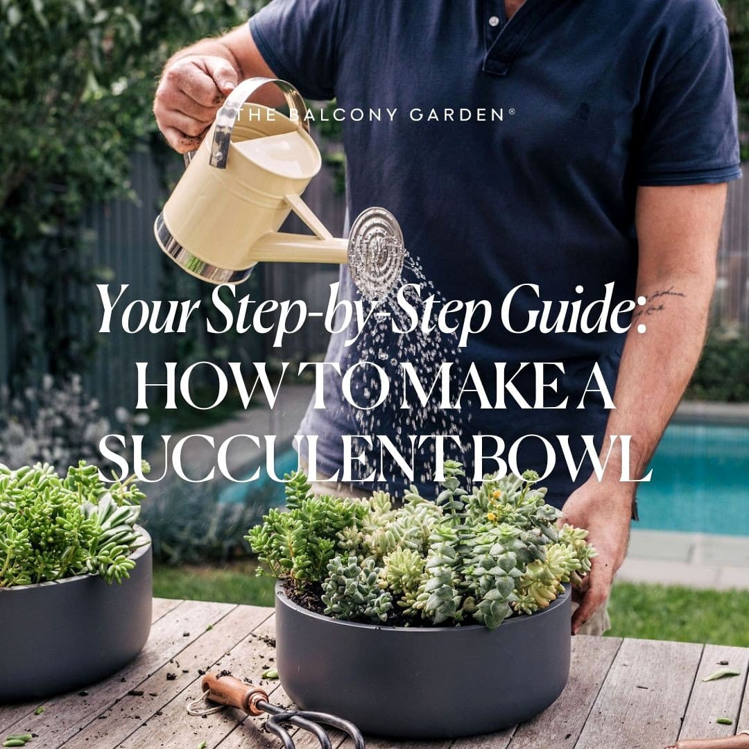 Black sand and white stone succulent bowl