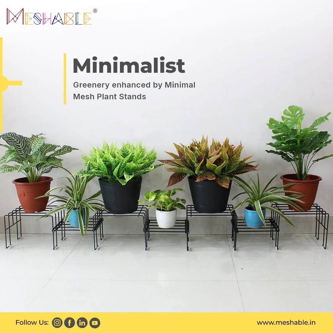 Minimalist design with single plant on wrought iron stand
