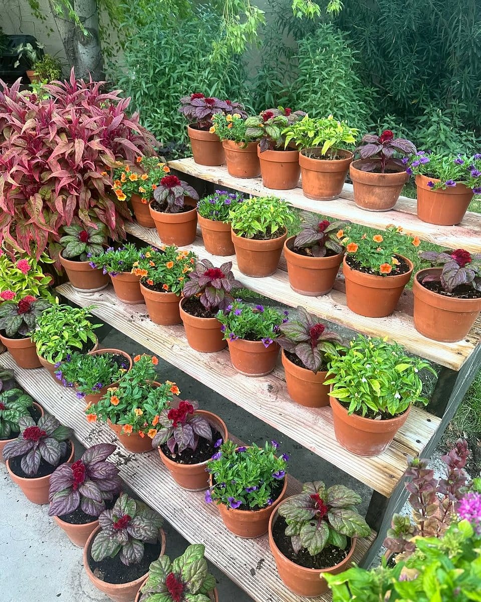 pots on staircase steps
