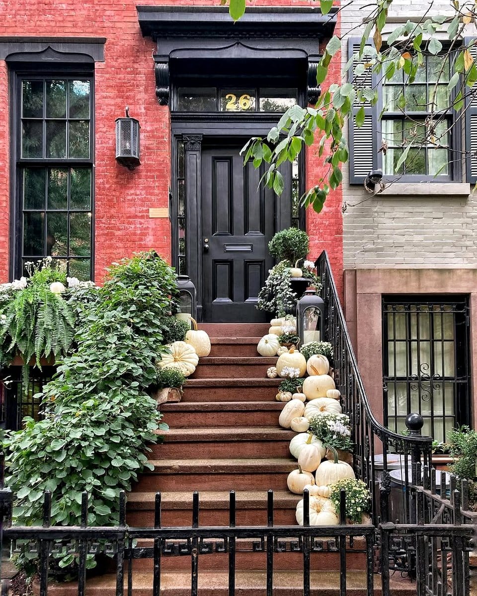 English Ivy cascading from a bookshelf