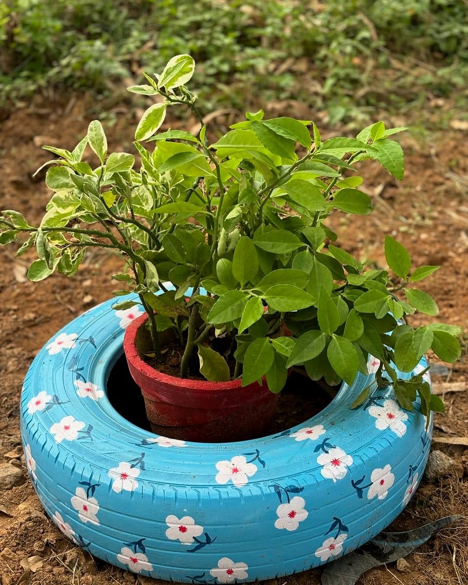 colorful recycled tire planter with flowers