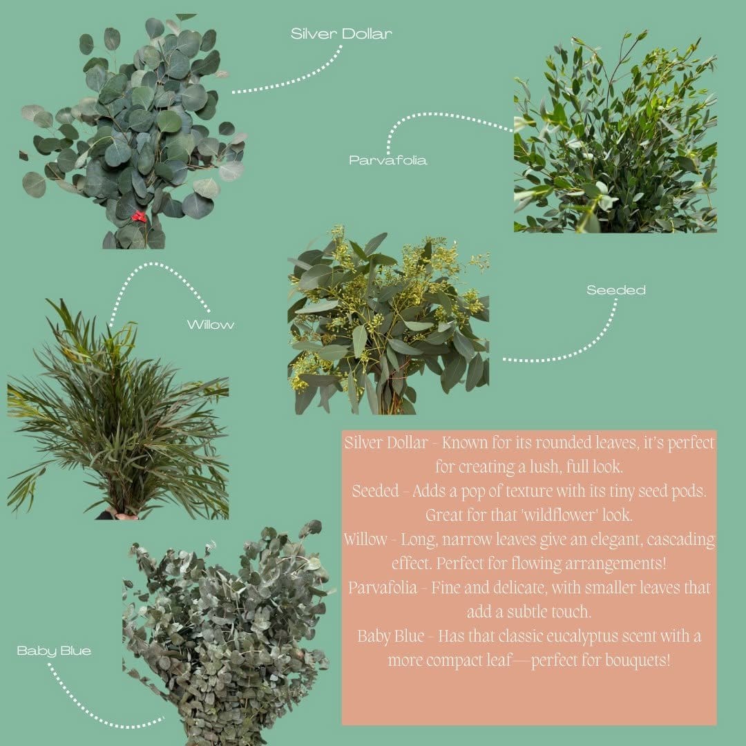 Fresh eucalyptus in clear glass vase