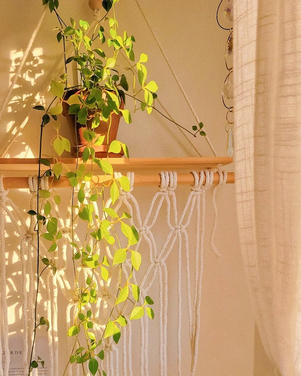 curtain rod with trailing vines