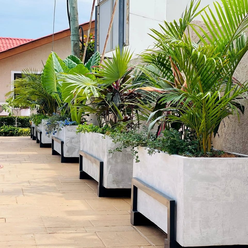 Hay bale planter with fresh vegetables