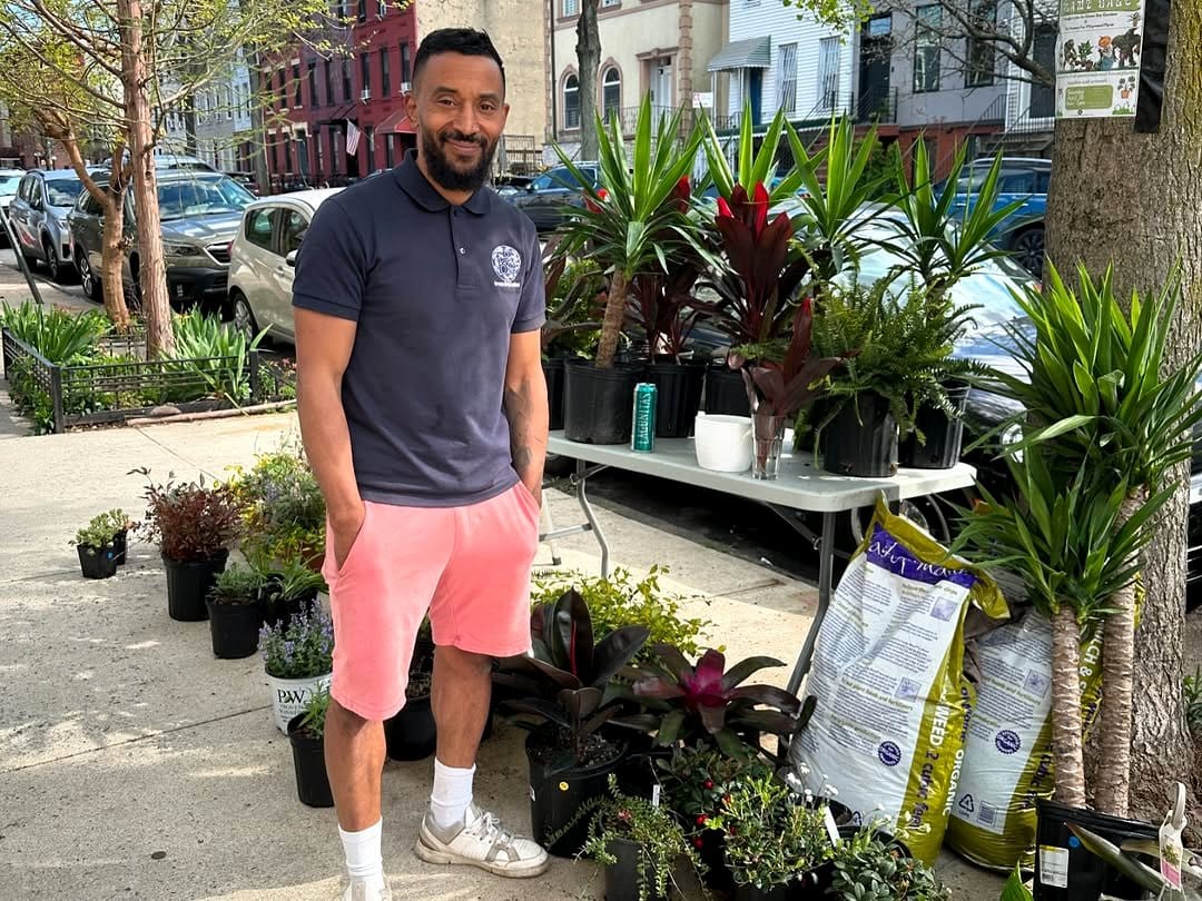 fatsia japonica spider's web on patio