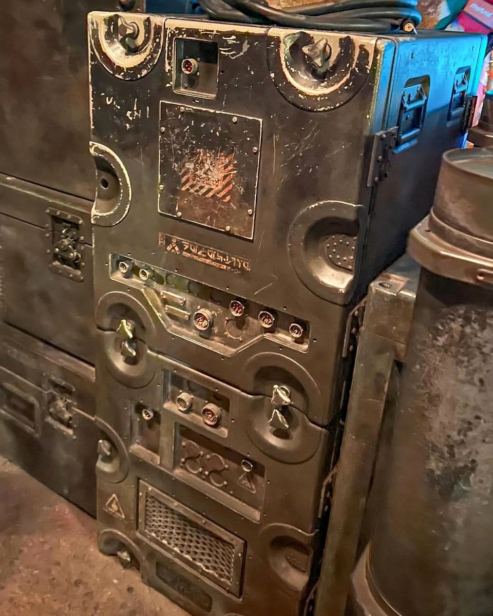 metal pipe shelves with hanging spider plants