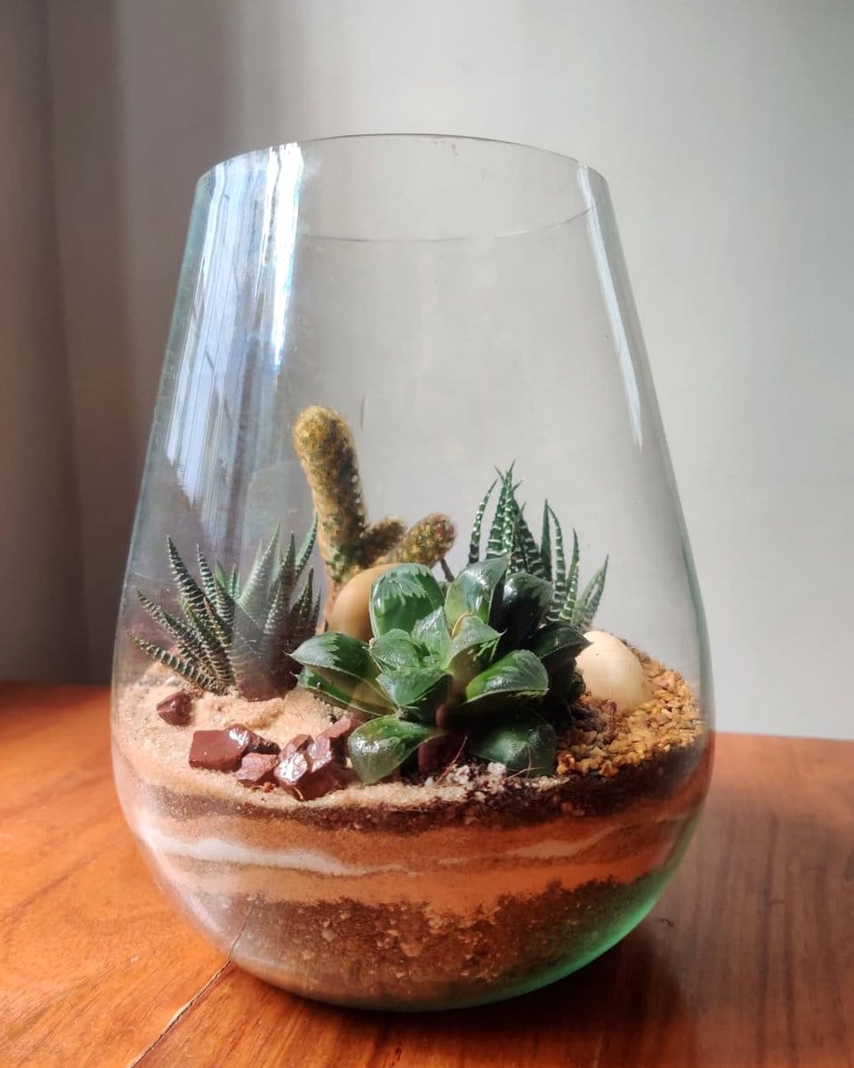 glass terrarium with desert plants