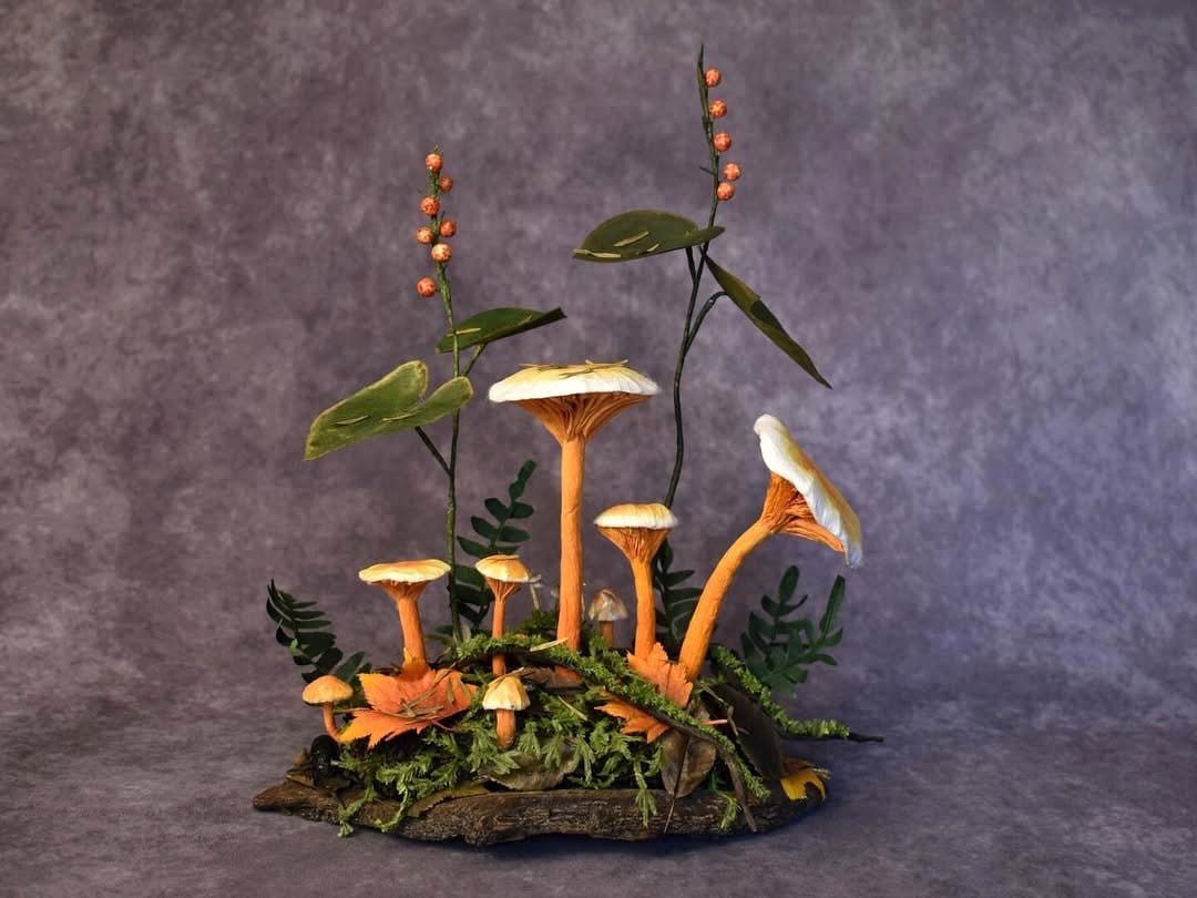 natural driftwood for orchid mounting