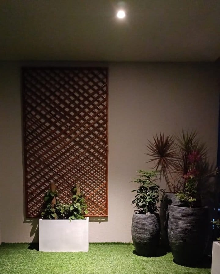 Serene reading nook with leafy decor